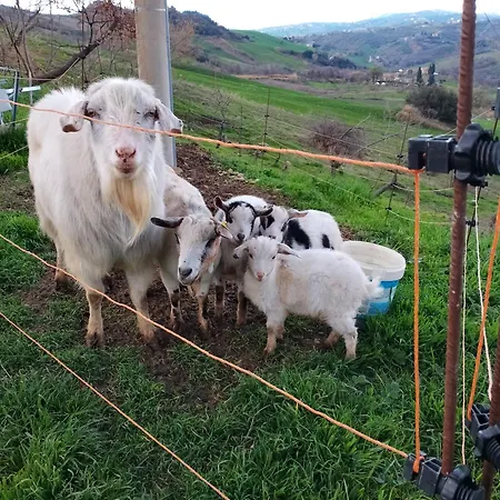Semesterbostad Minicasa Nella Fattoria
