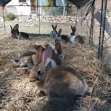 Minicasa Nella Fattoria Atessa