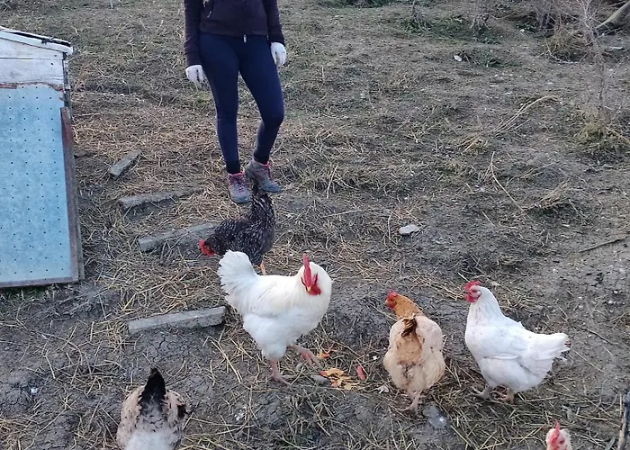 Holiday home Minicasa Nella Fattoria *