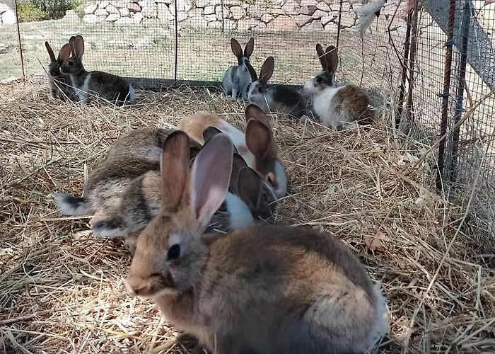 Minicasa Nella Fattoria Atessa