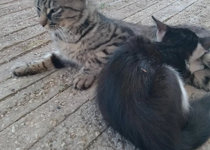 Minicasa Nella Fattoria Holiday home