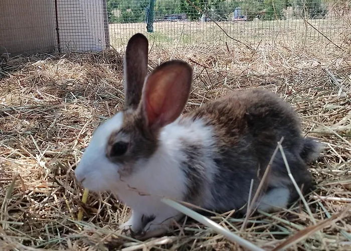 Holiday home Minicasa Nella Fattoria Atessa